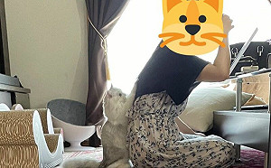 媽媽在化妝！貓的人類外出警鈴大響