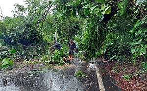 梅雨造成嘉義縣山區部份道路受阻 縣府：均已搶通
