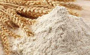 李昭旭觀點》勒緊褲帶—全球糧食危機撲面而來