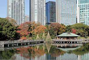 藝文主題之旅 ！「東京博物館通票」一票在手 101座藝文場域展館任你遊