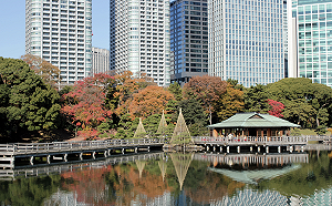 藝文主題之旅 ！「東京博物館通票」一票在手 101座藝文場域展館任你遊