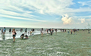 避免組織多次變動！環保署廢止氣候變遷局4/22改成立籌備處