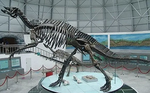 恐龍外交？！俄羅斯示好 將「滿洲龍」勘查資料送中國