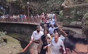 驚悚一瞬間！墨西哥新吊橋才啟用秒斷 市長帶頭墜谷