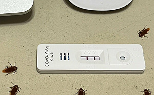 福吉美遭質疑驗不出Omicron? 粉專加碼狠酸：口水去驗驗出一堆政治蟑螂