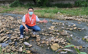 東大溪再傳魚群暴斃 楊正中譏：難道是憂鬱症集體自殺？