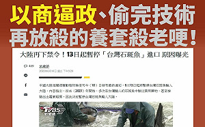 中國禁台石斑魚  台灣基進痛批:以商逼政偷技術的「養套殺」老哽