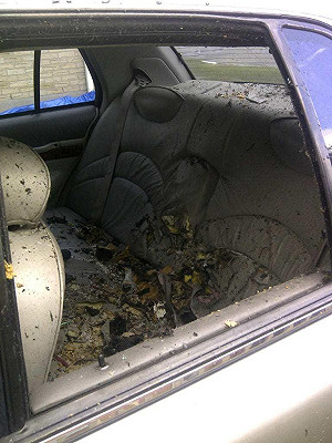 美加合作防恐攻  IS炸彈客計程車內遭擊斃