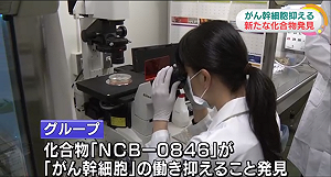 有效抑制「癌幹細胞」 日發現新化合物