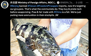 台石斑魚遭封殺 外交部：與中國對等貿易註定失敗 「替他們添軍購經費罷了」