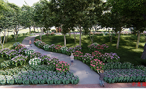 點綴北大特區 新北北大污水廠釋出720坪綠地