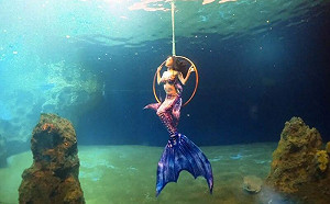 職業美人魚很夢幻？她公開行業內幕