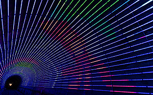 瑰麗仲夏遊新北深澳 浪漫騎行RailBike