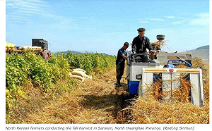 朝鮮嚴格防疫 民眾插秧戰鬥戴3層口罩下田熱昏