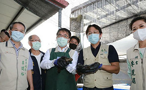 聲援台南石斑魚 黃偉哲：中國勿以政治化手段打壓台灣農漁特產品  