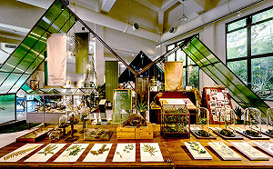 全台唯一行動精油車 6月26日到新北茶博館提煉尋香！