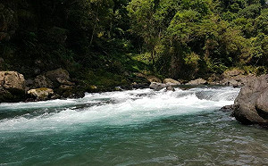 烏來墜溪意外　男釣魚失足被水沖走