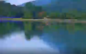 (影)影像曝光！花蓮6.0規模地震  鯉魚潭7秒猛烈震動  網呼：好可怕