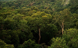 亞馬遜歷史性乾旱  威脅巴西北部居民生活