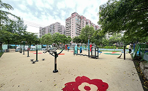 新北議員金瑞龍爭取多時  中和壽德公園體健設施6月底完工