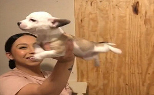 女子抱小狗突放手！牠挺腰桿變超人