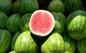 別只會輕拍！西瓜挑選5妙招一次看