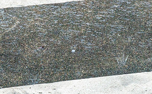 17縣市豪大雨特報！北市博愛特區9年來首降冰雹