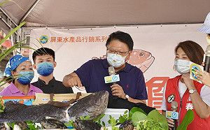 中國禁台灣石斑進口  潘孟安摃上農委會：到現在沒有提供任何協助