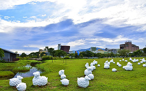 注意！綿羊出沒 新北十三行博物館打造八里親子必拍新地景