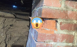 受困變梗圖！橘貓卡磚牆無奈等救援