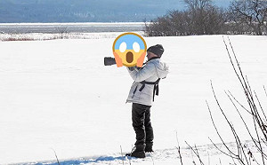 應徵助理？攝影師拍照牠竟停相機上