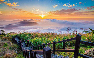 嘉縣＋849、嘉市＋587！嘉義縣提倡「防疫新森活」