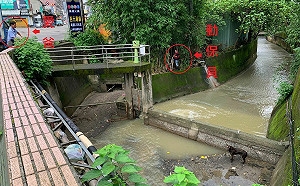 虎斑犬受困水勢暴漲涵洞  新北動保處偕愛爸緊急救援成功