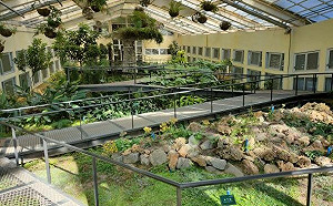 命懸一線！珍稀植物展7/1墾丁登場  17種極度瀕危植物一次展出