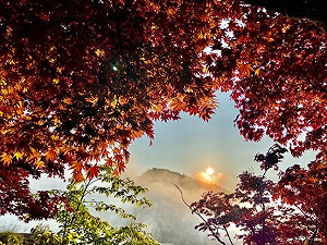 暑假上山避暑！林務局12星座森林旅遊玩遍台灣
