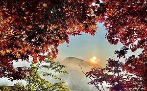 暑假上山避暑！林務局12星座森林旅遊玩遍台灣