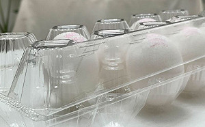 縮短食用效期！雞蛋保存1錯誤勿犯