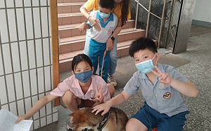 數量冠全國　新北五股國小再納「柴哥」為全市第95隻校犬貓