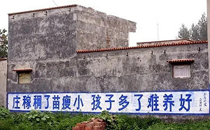 廣西超生兒被抱走「社會調劑」？他預言：不過重演「兔死狗烹」老戲