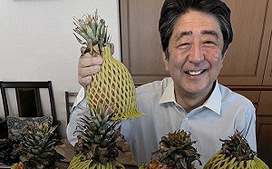 安倍晉三遇刺離世！陳吉仲PO照悼念：最先發文挺台灣鳳梨
