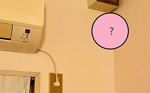 鼠界阿湯哥！飼主驚見牠一字馬攀岩