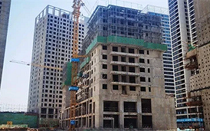 用「紅碼」搞報復？監管資金流向不明 鄭州業主參與維權 樓盤陷停工