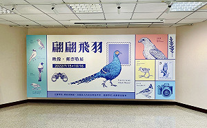 看郵票也能賞鳥！「翩翩飛羽」特展帶你探索鳥類之美