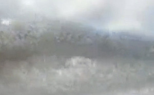 神的制裁？俄南部出現恐怖「黑雲」 上千萬蟲蟲大軍重創當地農作物