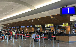 桃機遭攻擊？官網一片白畫面時好時壞  回應：持續密切監控