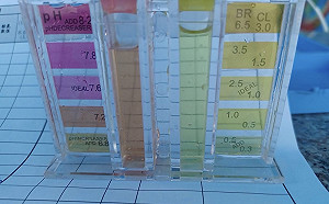 新北河濱用心把關水質 讓你水陸通玩安心又開心