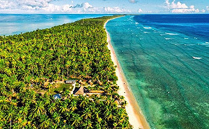 「金槍魚政治」挽回島國! 阻止中國擴張 美將在太平洋地區新設兩大使館