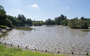 清大成功湖整治出現神秘坑洞 背後竟有「建築師」