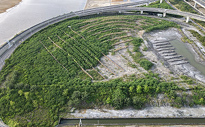 台61線鹽埕交流道打造環境保護林 保育生態恢復森林生機