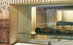 證實木乃伊是「真屍」！科博館曝存在20年：不敢太常打擾他